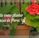 Plantar em Vasos de Flores – Aprenda Como Fazer